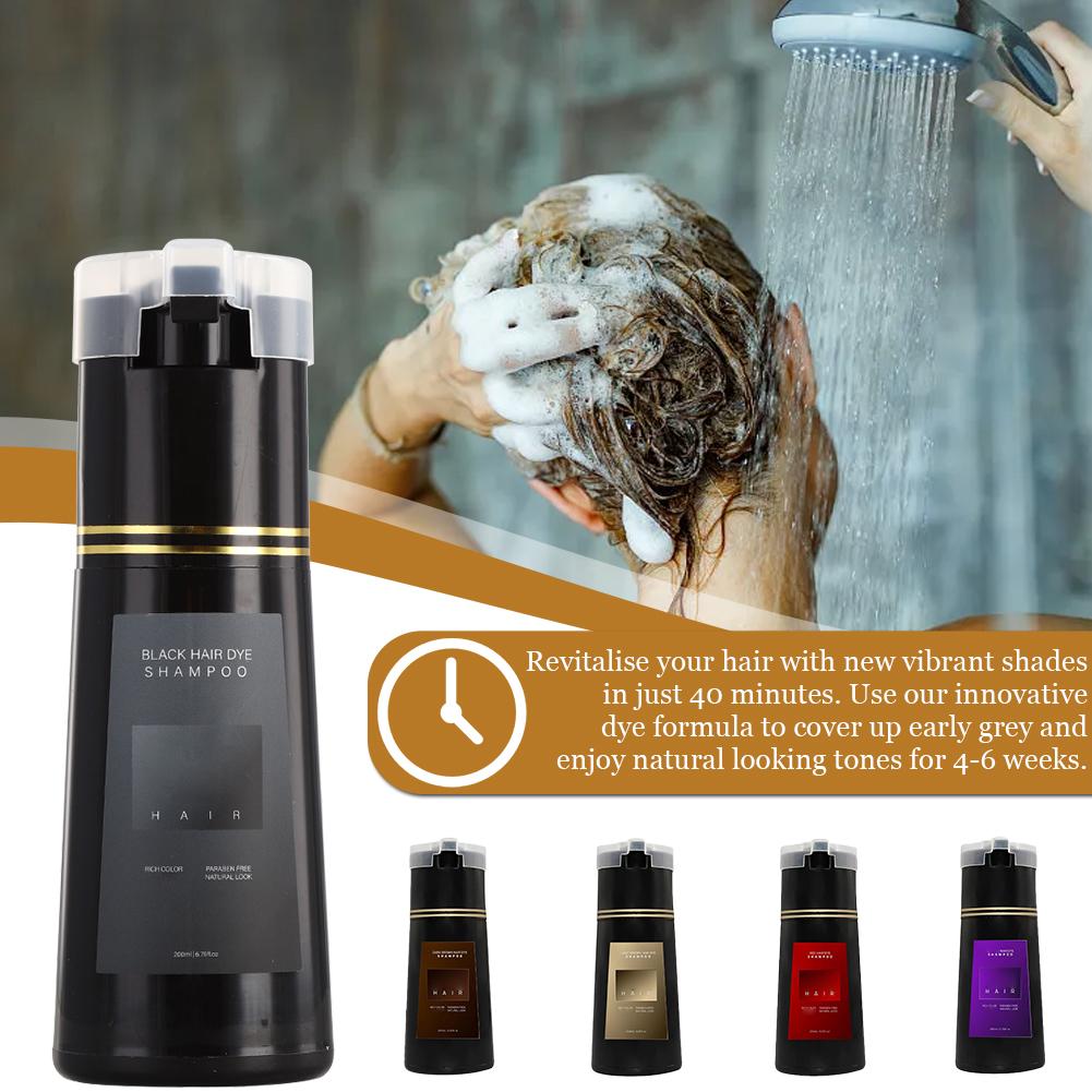 Hair Spray Color - 200ml 10 Menit Sampo Pewarna Rambut