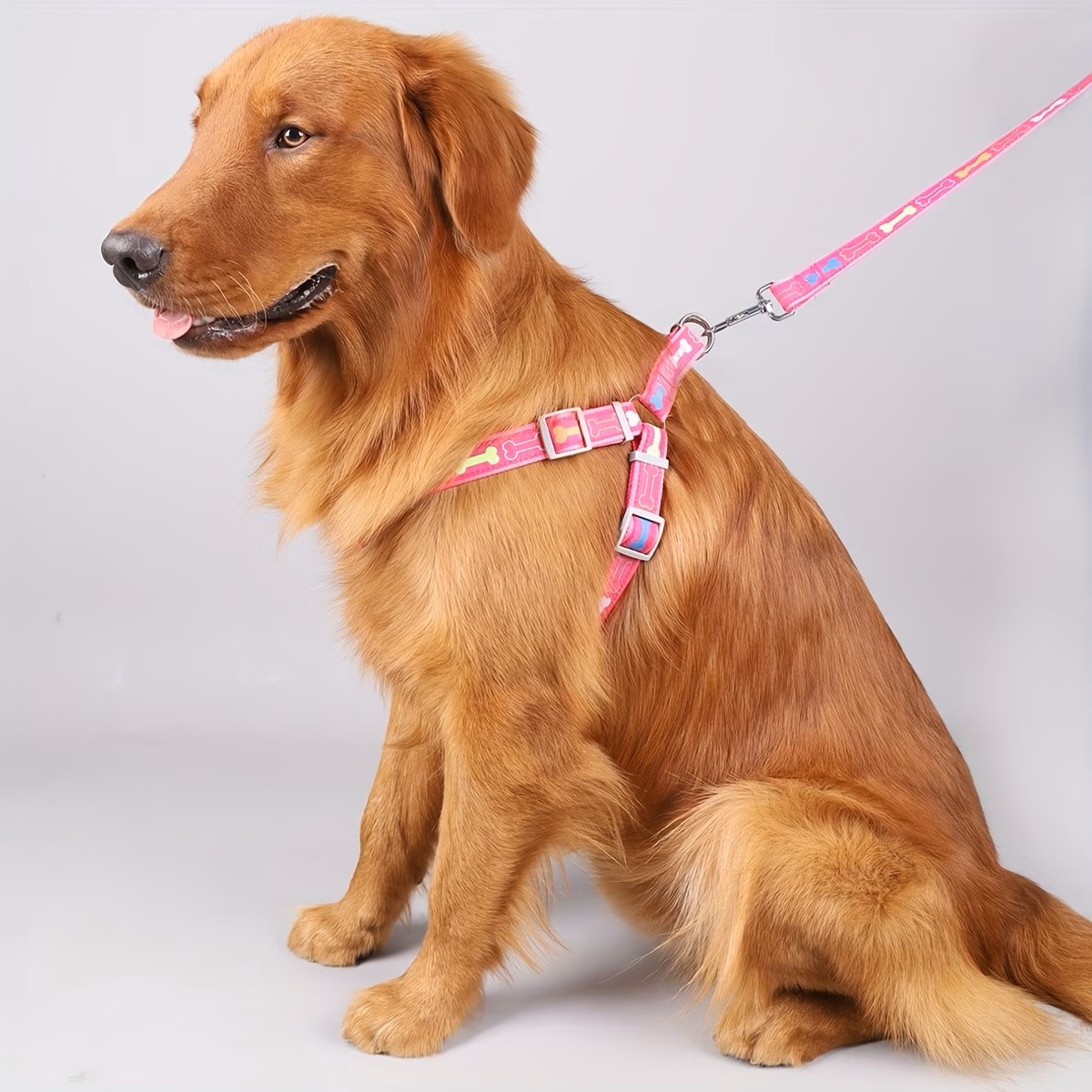 Harness Anjing yang Dapat Dise - D Ring Strap ulasan dan harga