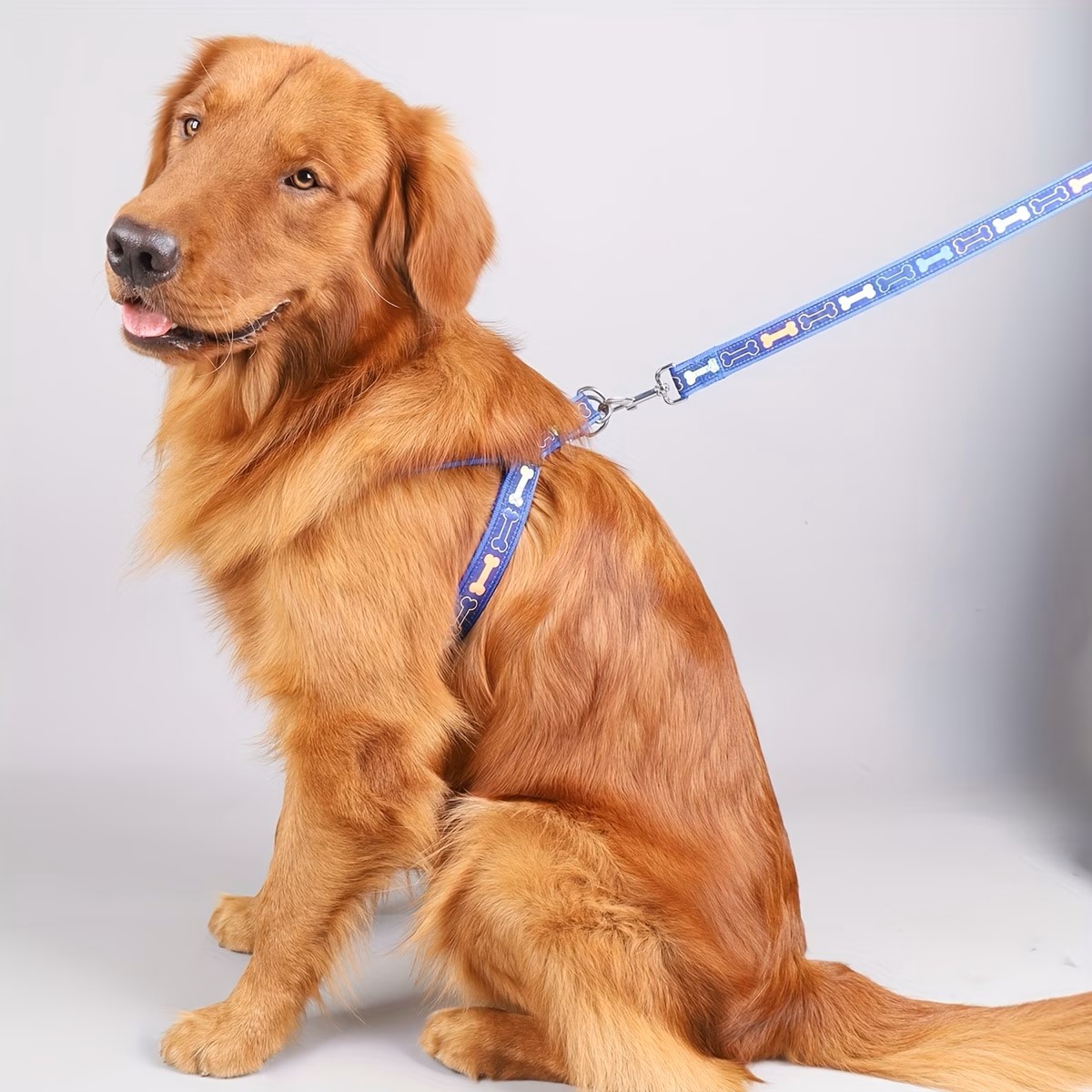 Harness Anjing yang Dapat Dise - D Ring Strap ulasan dan harga